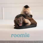 Roomie Off-Campus Rental